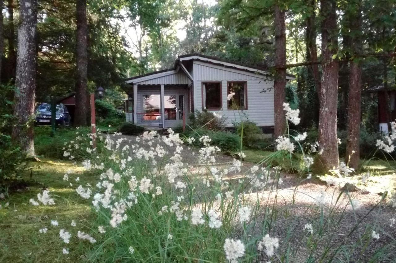 Chalet Siesta Is Rust & Natuur In Durbuy - Barvaux-Sur-Ourthe Exterior photo